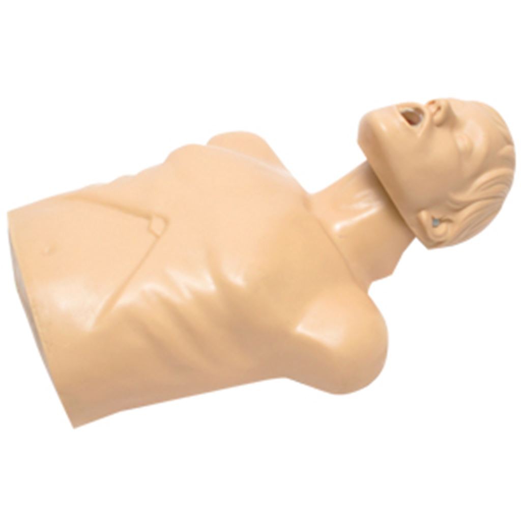 Maniqui para RCP Adulto