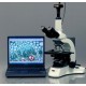 CÁMARA DIGITAL PARA MICROSCOPIO 5MP  SOFTWARE - AMSCOPE