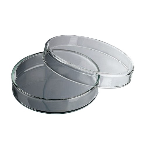 Caja petri PYREX