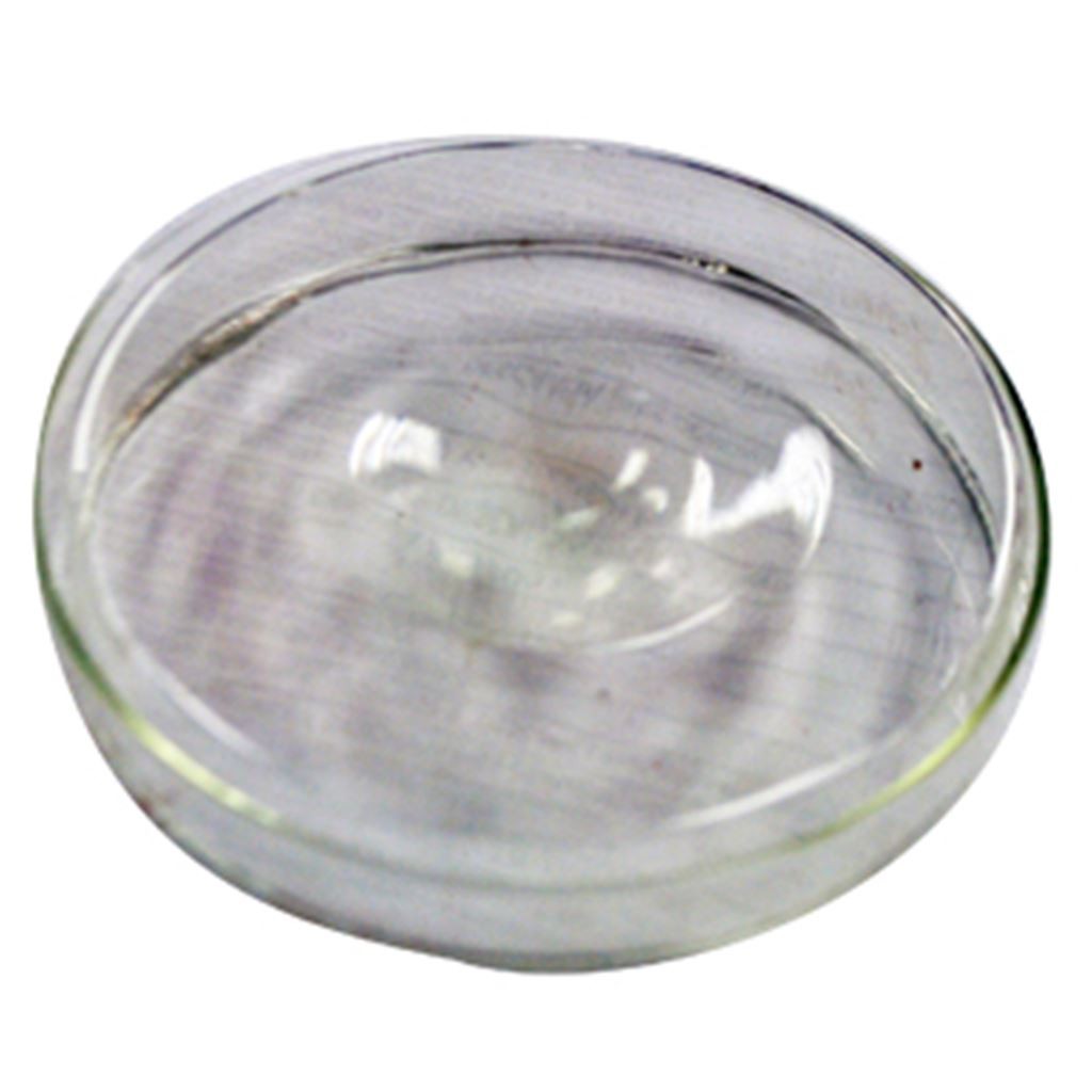 CAJA PETRI DE VIDRIO DE 100X20 MM